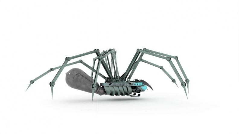 cyber_spider1.jpg