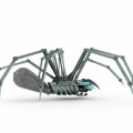cyber spider1