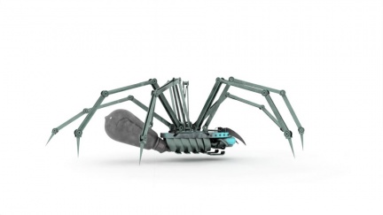 cyber spider2